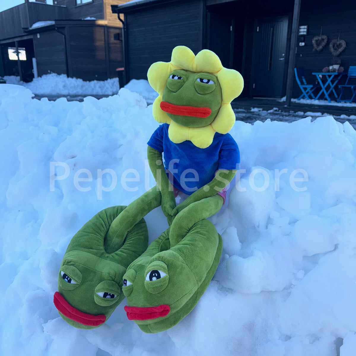 Sad Pepe® Slides